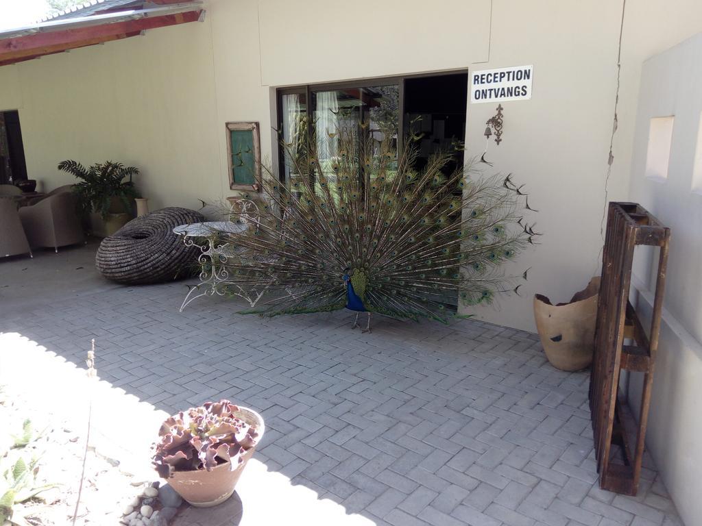 Xain Quaz Camp Hotel Gobabis Buitenkant foto